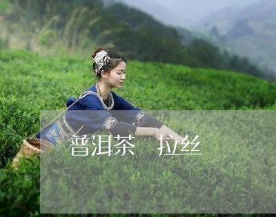 普洱茶 拉丝/2023042884107